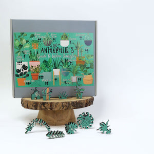 The Anthophile’s guide to Indoor Jungles