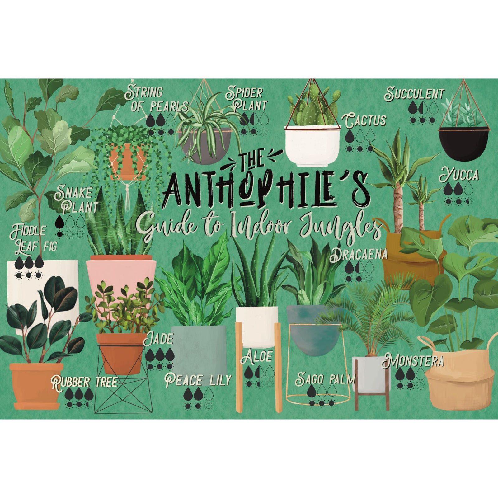 Le guide des anthophiles pour les jungles d'intérieur