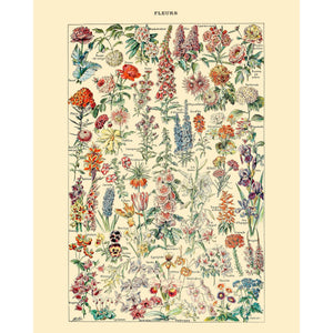 Fleurs